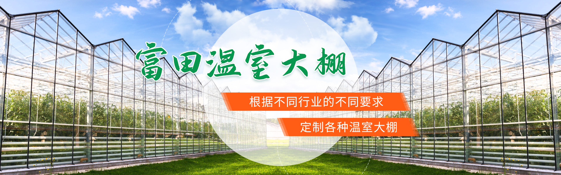 蔬菜大棚